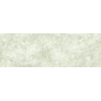 Delacora Studio Green 25x75