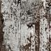 Керамогранит Diesel Combustion Crackle Cracked Brown Sq. 60x60