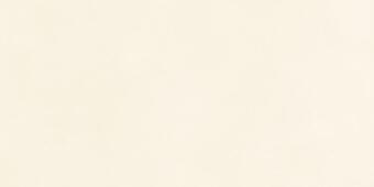 Керамогранит Dune Berlin Bone 45x90