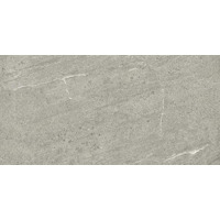 Керамогранит Dune Emporio Grey Rec 60x120