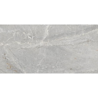 Керамогранит Ege Seramik Madagaskar Grey Polished 60x120