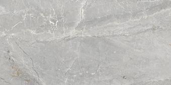 Керамогранит Ege Seramik Madagaskar Grey Polished 60x120