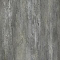 Eletto Old Tjikko 42x42