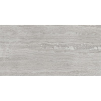 Керамогранит Emil Ceramica Eterna Silver 60x120