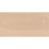Керамогранит Emil Ceramica Externa Cotto Ocra 20x40