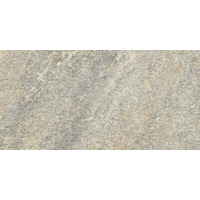 Керамогранит Emil Ceramica Externa Quarzite Gold Grey 20x40