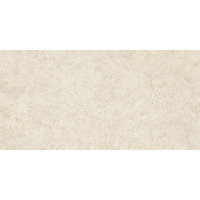 Керамогранит Emil Ceramica Landscape Avorio Silktech 40x80