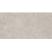 Керамогранит Emil Ceramica Landscape Cenere Silktech 30x60