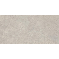 Керамогранит Emil Ceramica Landscape Cenere Silktech 40x80