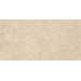 Керамогранит Emil Ceramica Landscape Sabbia Silktech 60x120