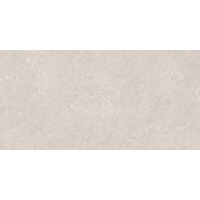 Керамогранит Emil Ceramica Mapierre Noble Gris 60x120