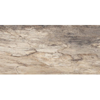 Керамогранит Emil Ceramica Petrified Tree Biege Bark Nat 45x90