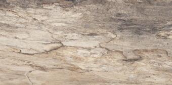 Керамогранит Emil Ceramica Petrified Tree Biege Bark Nat 45x90