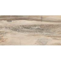 Керамогранит Emil Ceramica Petrified Tree Core Biege Tiger Nat 45x90