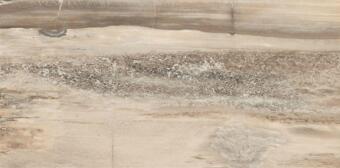 Керамогранит Emil Ceramica Petrified Tree Core Biege Tiger Nat 45x90