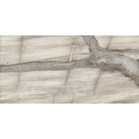 Керамогранит Emil Ceramica Petrified Tree Core Grey Panther Nat 45x90