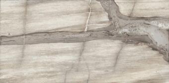 Керамогранит Emil Ceramica Petrified Tree Core Grey Panther Nat 45x90