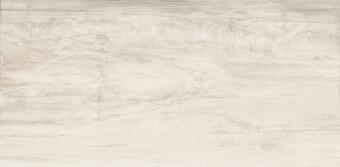 Керамогранит Emil Ceramica Petrified Tree Core White Lion Nat 45x90