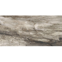 Керамогранит Emil Ceramica Petrified Tree Grey Bark Nat 45x90