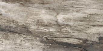 Керамогранит Emil Ceramica Petrified Tree Grey Bark Nat 45x90