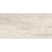 Керамогранит Emil Ceramica Petrified Tree White Bark Nat 45x90