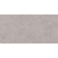 Керамогранит Emil Ceramica Sixty Cenere Silktech 40x80
