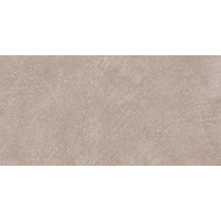 Керамогранит Emil Ceramica Sixty Fango Silktech 40x80