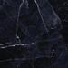 Керамогранит Emil Ceramica Tele Di Marmo Revolution Calacatta Black Naturale 120x120