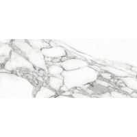 Керамогранит Emil Ceramica Tele Di Marmo Selection Arabescato Corchia Full Lappato 120x278
