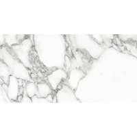 Керамогранит Emil Ceramica Tele Di Marmo Selection Arabescato Corchia Full Lappato 60x120