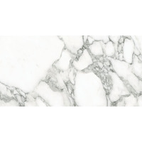 Керамогранит Emil Ceramica Tele Di Marmo Selection Arabescato Corchia Naturale 30x60