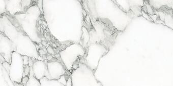 Керамогранит Emil Ceramica Tele Di Marmo Selection Arabescato Corchia Naturale 60x120