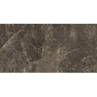Керамогранит Emil Ceramica Tele Di Marmo Frappuccino Pollock Naturale 120x240