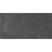 Керамогранит Emil Ceramica Totalook Antracite Soft 40x80