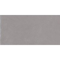 Керамогранит Emil Ceramica Totalook Grigio Naturale 60x120