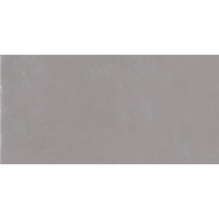 Керамогранит Emil Ceramica Totalook Grigio Soft 40x80