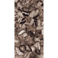 Керамогранит Ennface Accent Volcanic Agate 60x120