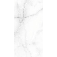 Керамогранит Ennface Onix Afyon Ice 60x120