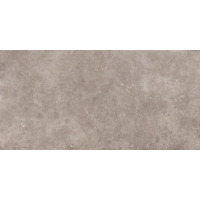 Керамогранит Ergon Back2Back Mineral Grey Naturale 30x60