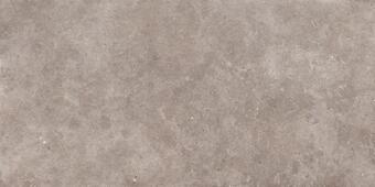 Керамогранит Ergon Back2Back Mineral Grey Naturale 30x60
