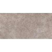 Керамогранит Ergon Back2Back Mineral Grey Naturale 60x120