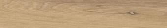 Керамогранит Ergon I Wood Rovere Dorato 20x120