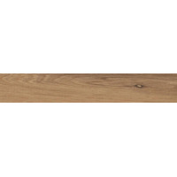 Керамогранит Ergon I Wood Rovere Imbrunito Tecnica R11 20x120