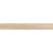 Керамогранит Ergon I Wood Rovere Palido 24x278