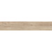 Керамогранит Ergon Woodtouch Miele Tecnica Antislip R11 20x120