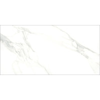 Керамогранит Eurotile Amina 717 60x120