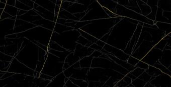 Керамогранит Eurotile Gres Marble Golden Black 80x160