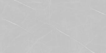 Керамогранит Eurotile Gres Marble Pietra Gray Matt 80x160