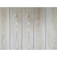 Керамогранит Eurotile Gres Wood Oak Jupiter Cream 15.1x60