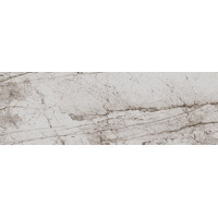 Eurotile Passion 802 Light 29.5x89.5